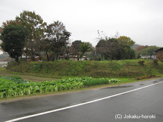 播磨 来住城の写真