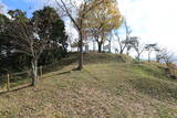 播磨 小谷城の写真