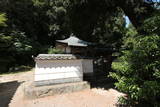 播磨 苔縄城の写真