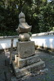 播磨 苔縄城の写真