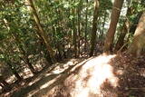 播磨 駒山城の写真