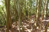 播磨 駒山城の写真