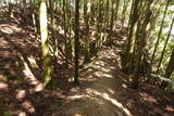 播磨 駒山城の写真