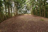 播磨 駒山城の写真