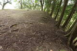播磨 駒山城の写真
