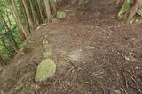 播磨 駒山城の写真