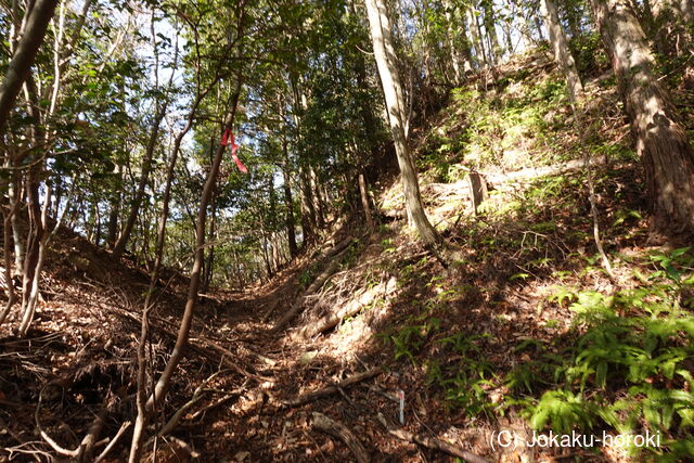 播磨 光明山城の写真