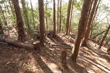 播磨 光明山城の写真