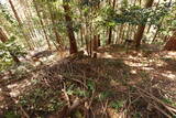 播磨 光明山城の写真
