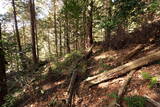 播磨 光明山城の写真
