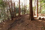 播磨 光明山城の写真