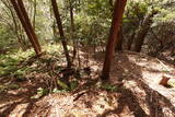 播磨 光明山城の写真