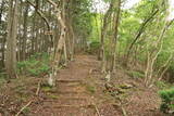 播磨 光竜寺山城の写真