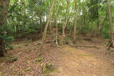 播磨 光竜寺山城の写真