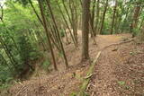 播磨 光竜寺山城の写真