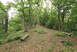 播磨 光竜寺山城の写真