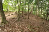 播磨 光竜寺山城の写真