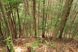 播磨 光竜寺山城の写真