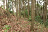 播磨 光竜寺山城の写真