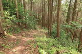 播磨 光竜寺山城の写真