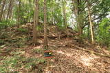 播磨 光竜寺山城の写真