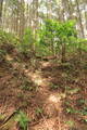 播磨 光竜寺山城の写真