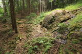 播磨 光竜寺山城の写真