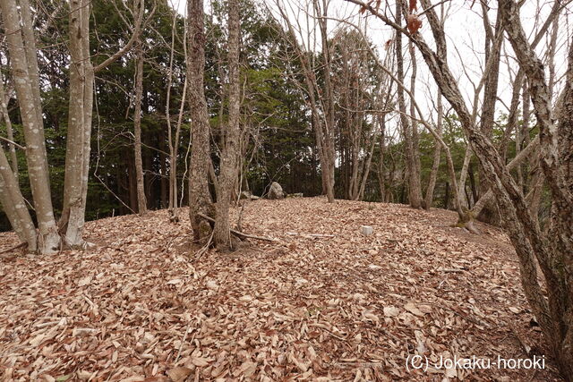 播磨 鞍背城の写真