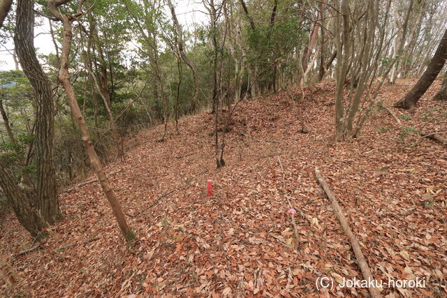 播磨 目高の築地(南砦)の写真