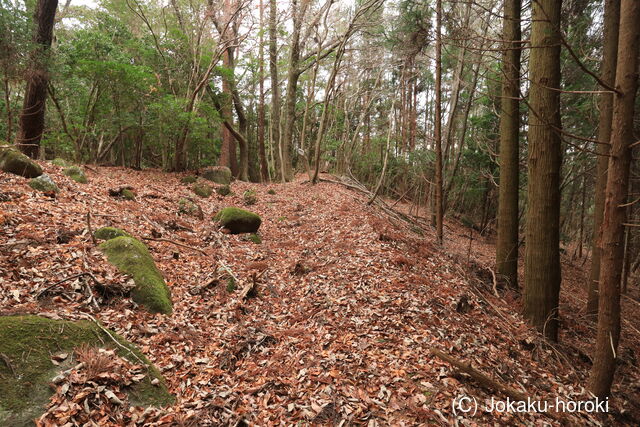 播磨 目高の築地(北砦)の写真