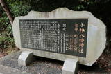 播磨 小林八幡神社付城の写真
