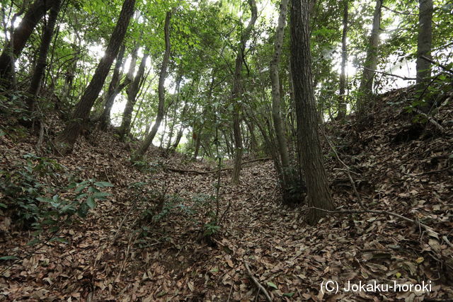 播磨 鷹尾山城の写真