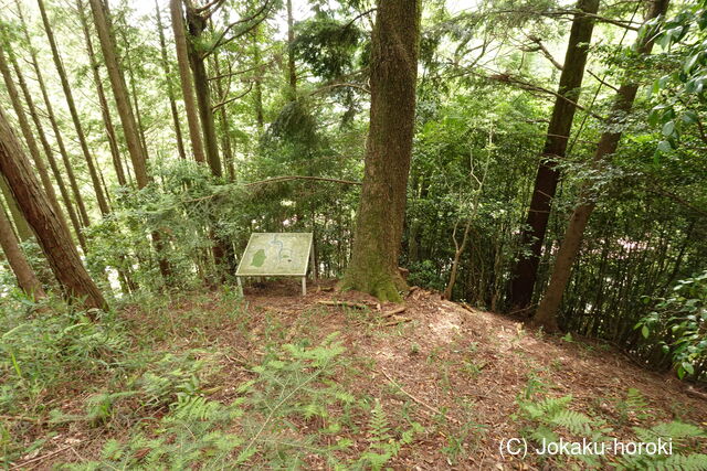 播磨 鍋倉城(夢前町)の写真