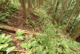 播磨 鍋倉城(夢前町)の写真