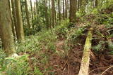 播磨 鍋倉城(夢前町)の写真
