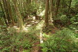 播磨 鍋倉城(夢前町)の写真