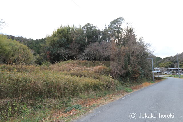 播磨 中村構居の写真