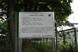 播磨 中津構居の写真