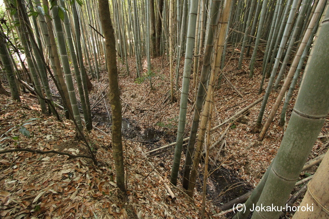 播磨 鯰坂城の写真