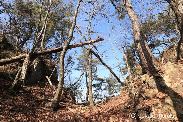 播磨 南条山城の写真