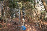 播磨 南条山城の写真