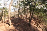 播磨 南条山城の写真