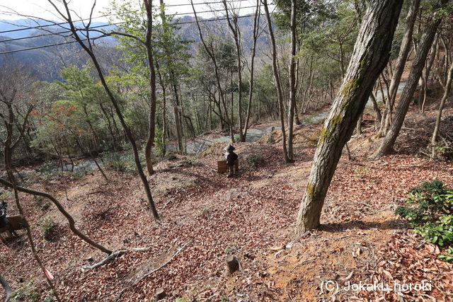 播磨 仁位山城の写真