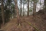 播磨 仁位山城の写真