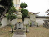 播磨 西脇城の写真
