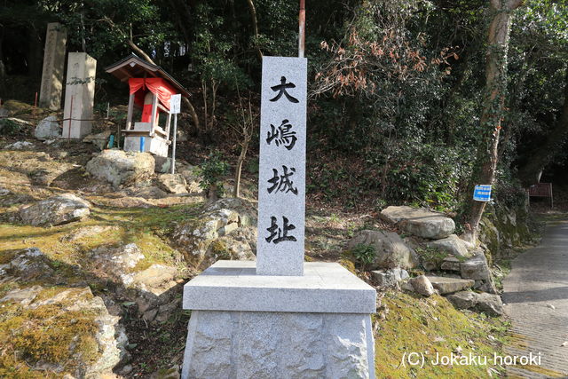 播磨 大島山城の写真