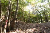 播磨 大山城の写真