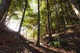 播磨 大山城の写真
