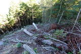 播磨 大山城の写真