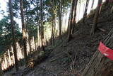 播磨 大山城の写真